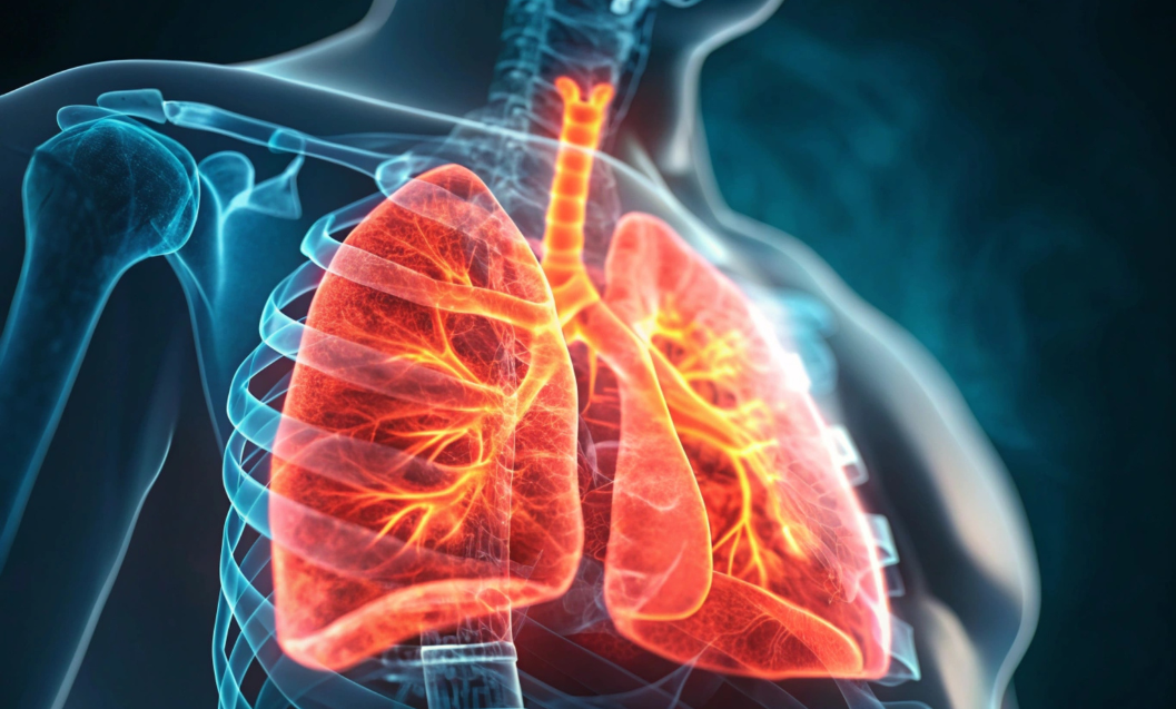 Bronchi e bronchite: cause, sintomi e rimedi per respirare meglio Bronchi e bronchite: cause, sintomi e rimedi per respirare meglio