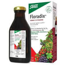 FLORADIX FERRO 250ML