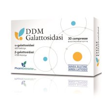 DDM GALATTOSIDASI 30CPR
