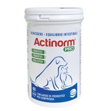 ACTINORM PRO 60CPR ACTINORM PRO 60CPR